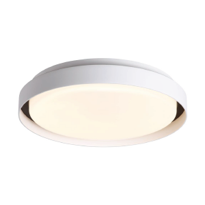6026/S Ceiling Light